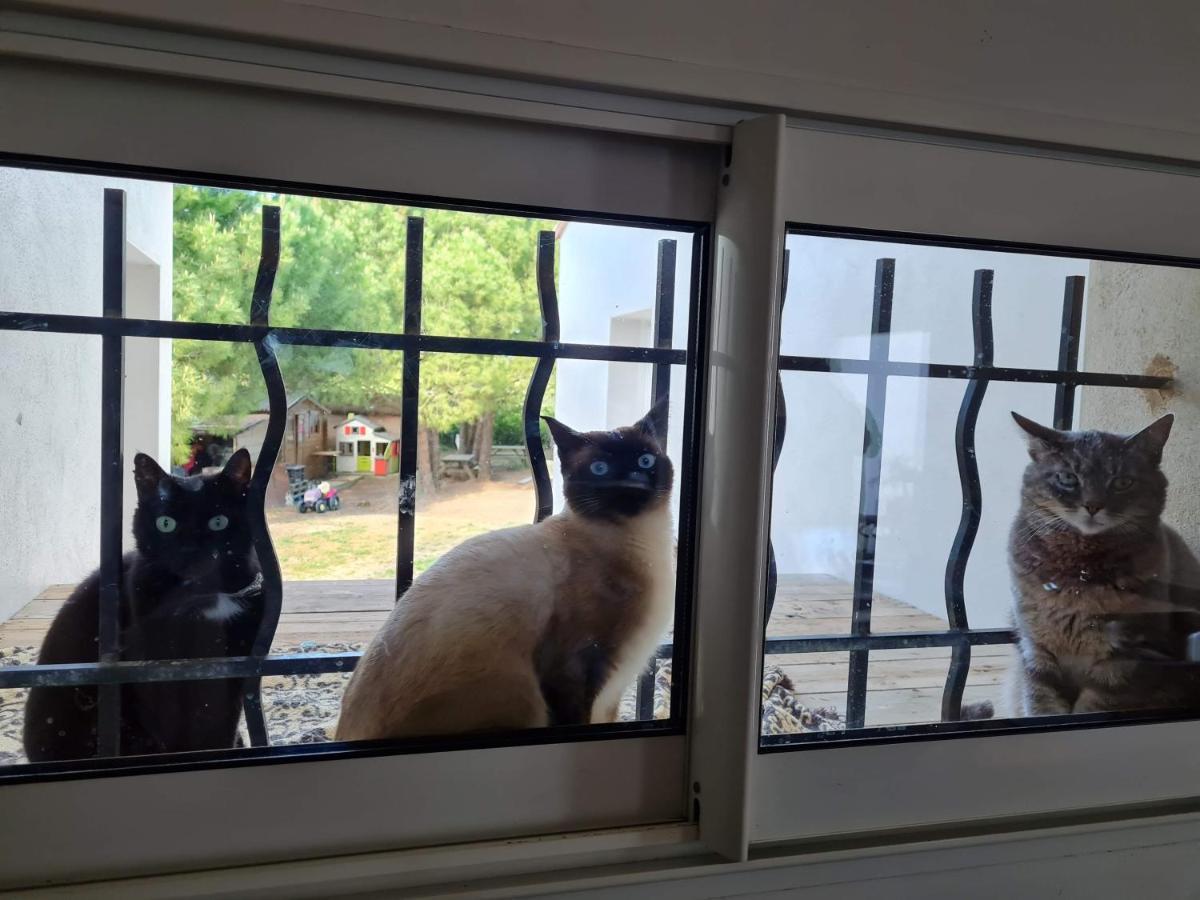 Appartamento Oxpira Palaja Esterno foto